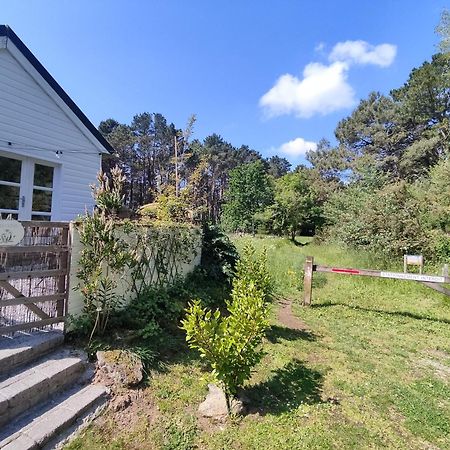 Chalet Cosy, Plages A Pieds. Morbihan. Plouhinec  المظهر الخارجي الصورة