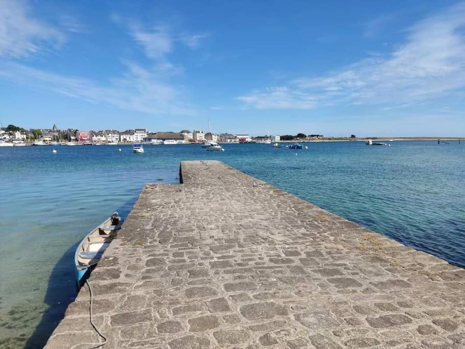 Chalet Cosy, Plages A Pieds. Morbihan. Plouhinec  المظهر الخارجي الصورة